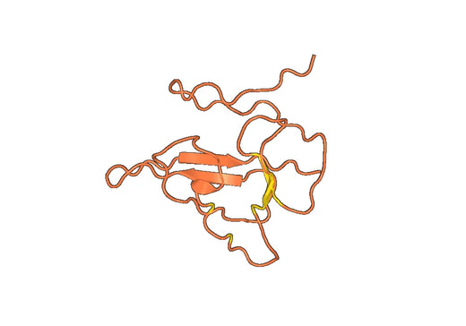 Anti-ORF8 protein polyclonal antibody