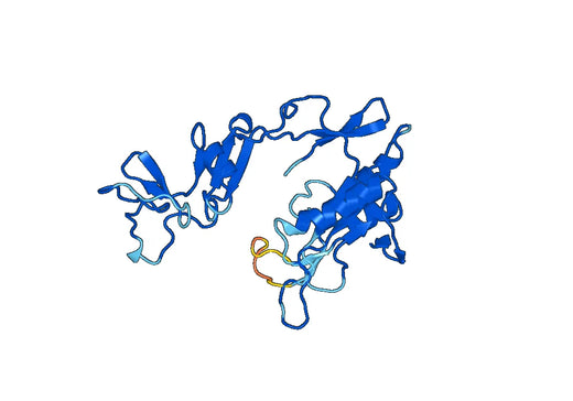 Anti-PCK1 Polyclonal antibody