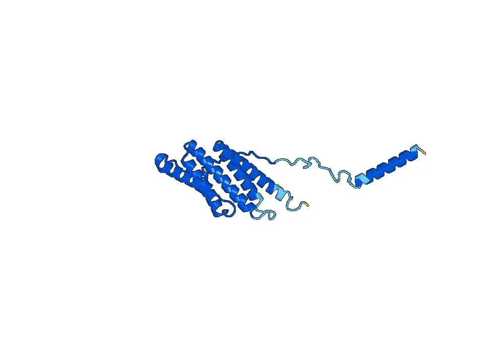 Anti-PDCD6IP Polyclonal antibody