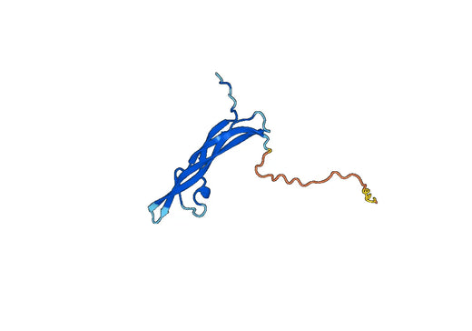 Anti-PDGFA Polyclonal antibody