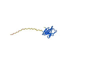 Anti-PHLPII/Phl p 2 Antibody (SAA0688)