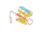 Anti-PHLPV/Allergen Phl p V Antibody (SAA0708)