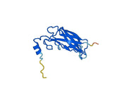 Anti-PHLPXI Antibody (SAA0733)