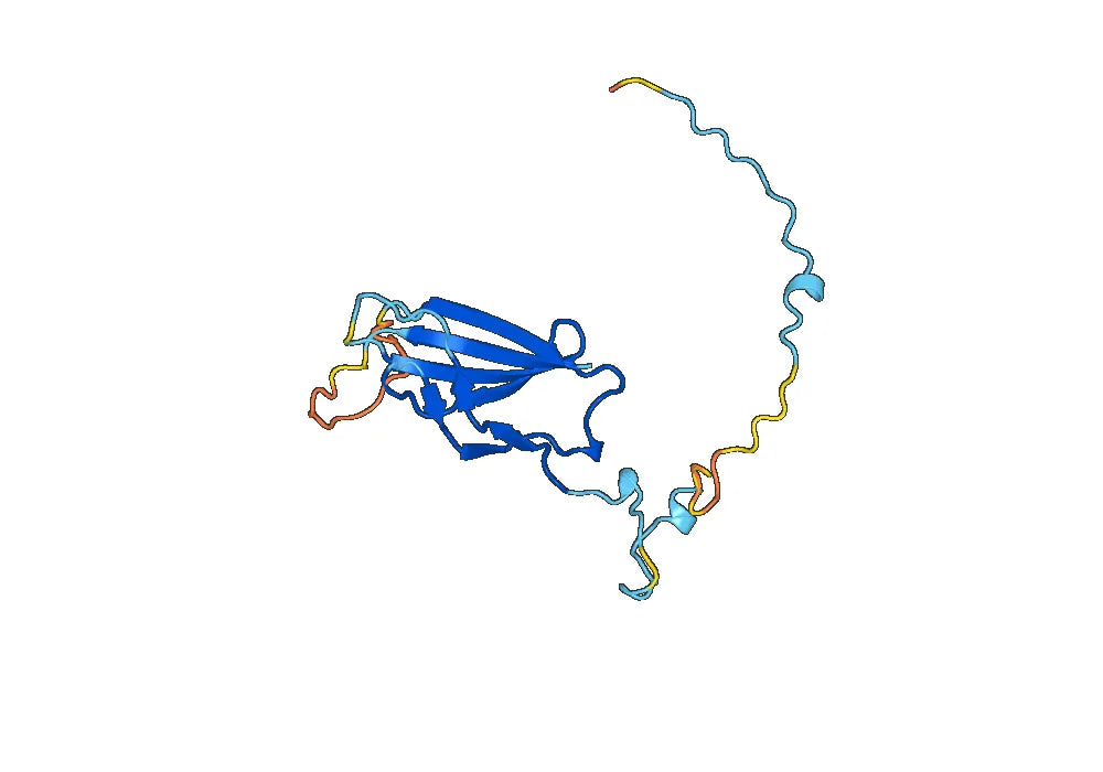Anti-PIK3CG Polyclonal antibody