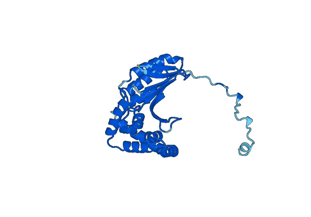Anti-PITRM1 Polyclonal antibody