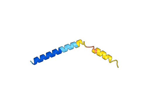 Anti-PLN Polyclonal antibody