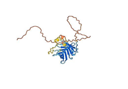 Anti-PLSCR4 Polyclonal antibody