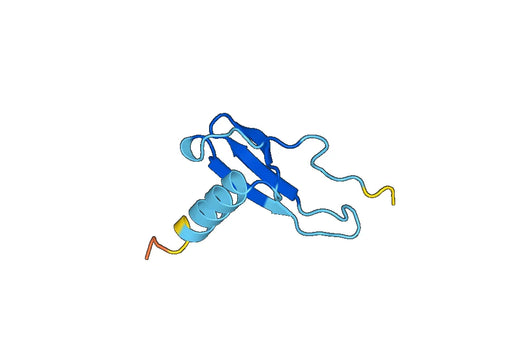 Anti-PPBP/CXCL7/NAP-2 Polyclonal antibody