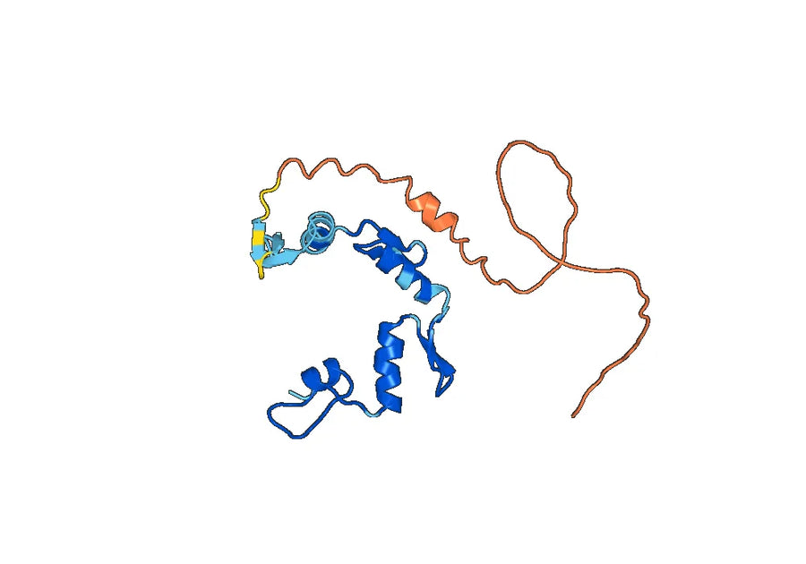 Anti-PRDM1 Polyclonal antibody