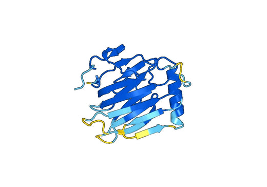 Anti-PROS1 Polyclonal antibody