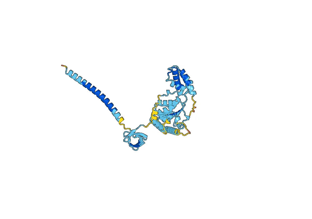 Anti-PSMC6 Polyclonal antibody