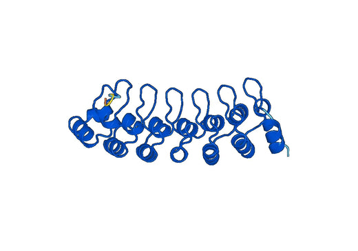 Anti-PSMD10 Polyclonal antibody