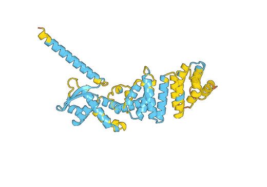 Anti-PSMD13 Polyclonal antibody