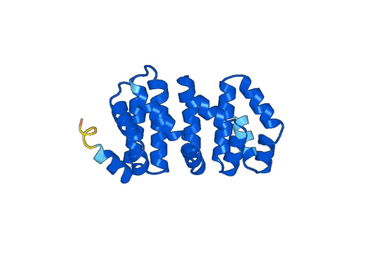 Anti-PSMD5 Polyclonal antibody