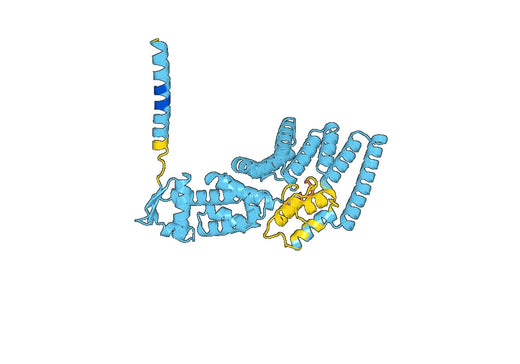 Anti-PSMD6 Polyclonal antibody