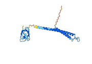 Anti-PSMD9 Polyclonal antibody