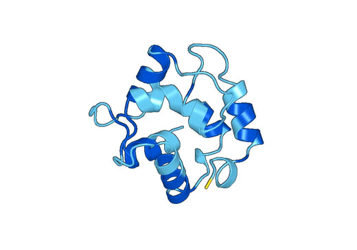 Anti-PVALB Polyclonal antibody