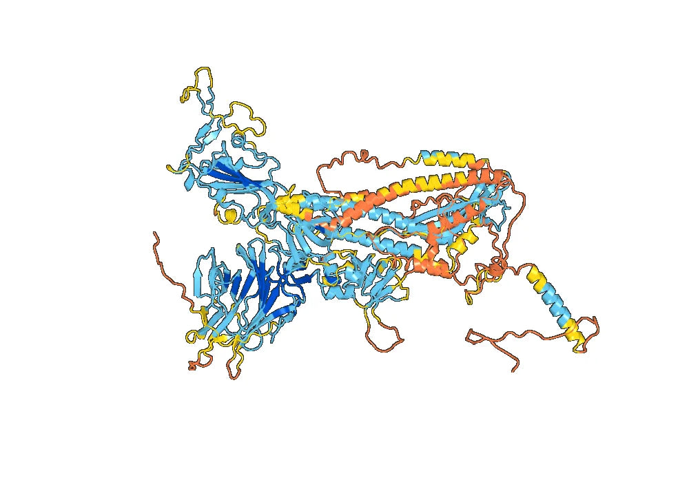 Anti-RBD-2 antibody (CV30)