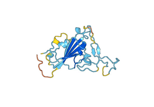 Anti-RBD polyclonal antibody (Rabbit)