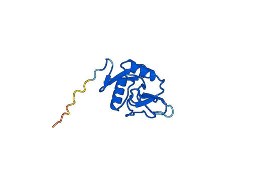Anti-REG1B Polyclonal antibody