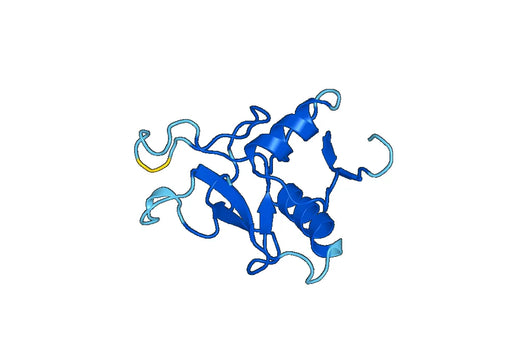 Anti-REG3A Polyclonal antibody