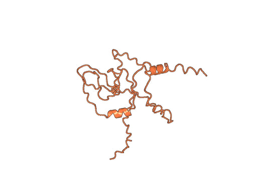 Anti-RNASE11 Polyclonal antibody