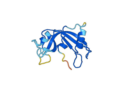 Anti-RNASE12 Polyclonal antibody