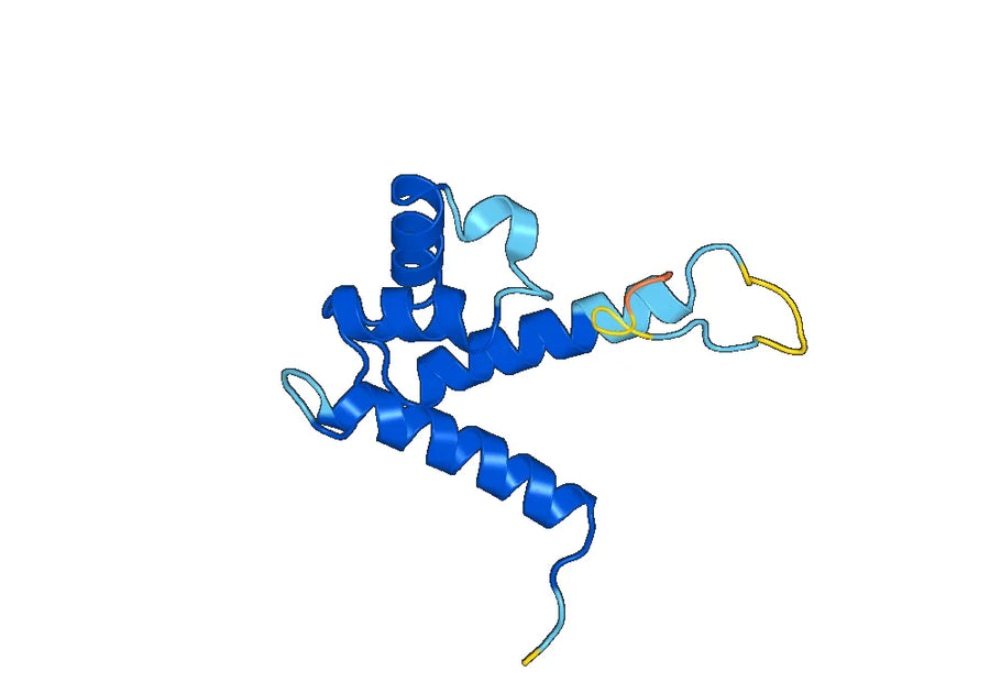 Anti-S100A9 Polyclonal antibody