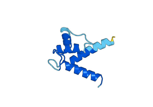 Anti-S100B Polyclonal antibody