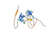 Anti-SARS-CoV-2 NP/Nucleoprotein VHH (SAA0960)