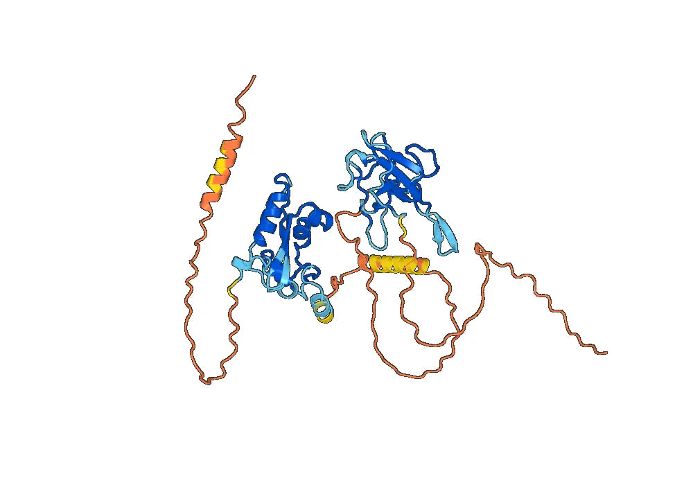 Anti-SARS-CoV-2 NP/Nucleoprotein VHH (SAA0960)