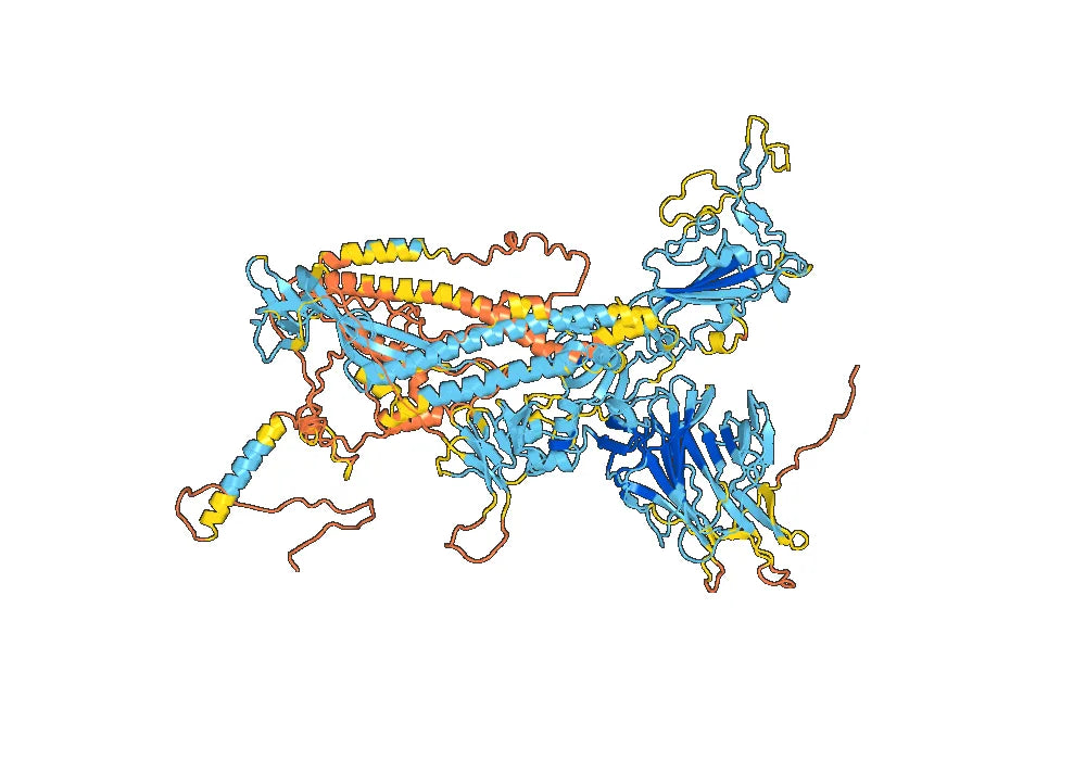 Anti SARS-CoV-2 RBD Neutralizing antibody (S2E12)
