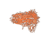 Anti-SARS-CoV S/Spike glycoprotein VHH (SAA1009)