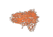 Anti-SARS-CoV S/Spike glycoprotein VHH (SAA1322)