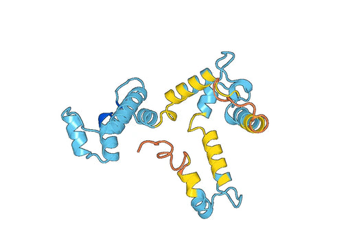 Anti-SDF4 Polyclonal antibody