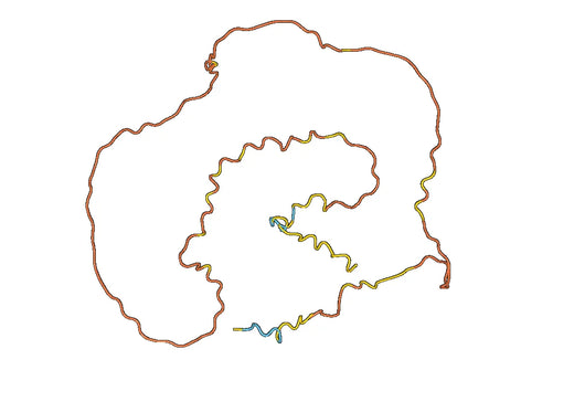 Anti-SMAD4 Polyclonal antibody