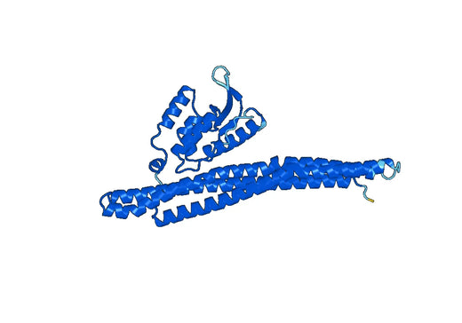 Anti-SNX9 Polyclonal antibody