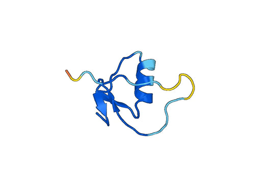 Anti-SPINK1 Polyclonal antibody