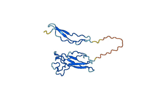 Anti-SPON2 Polyclonal antibody