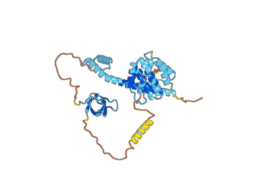 Anti-STAM2 Polyclonal antibody