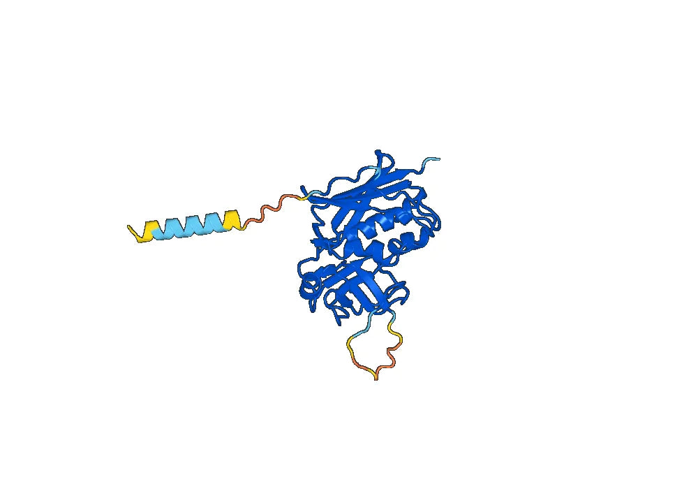 Anti-Staphylococcus aureus entB/SEB VHH (SAA1238)