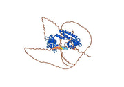 Anti-Staphylococcus aureus isdB Antibody (SAA1456)