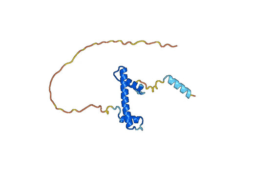 Anti-TAF12 Polyclonal antibody