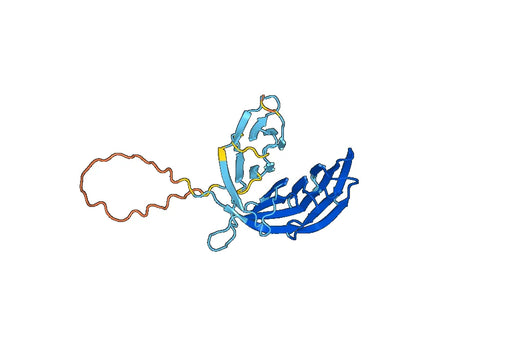 Anti-TEP1 Polyclonal antibody