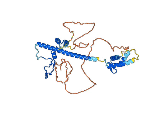 Anti-TFDP1 Polyclonal antibody