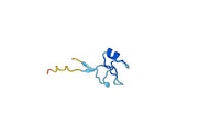 Anti-TFF1 Polyclonal antibody