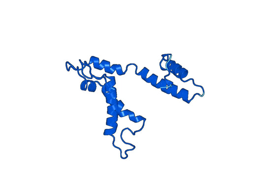 Anti-THOP1 Polyclonal antibody