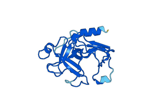 Anti-TMPRSS2 polyclonal antibody