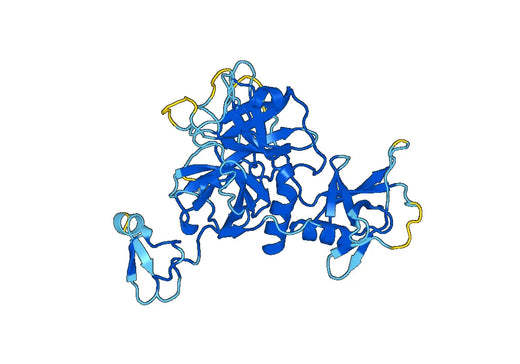 Anti-TMPRSS4 Polyclonal antibody