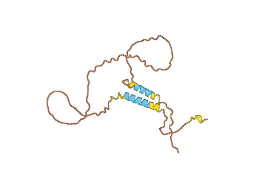 Anti-VEGFA Polyclonal antibody